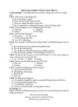 Kiểm tra 45 phút tiếng Việt - Tiết 46